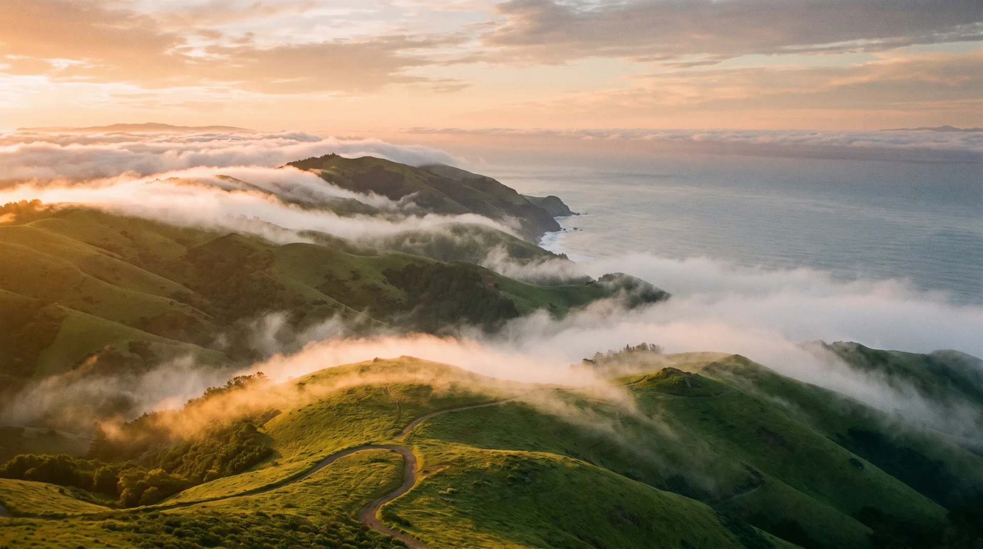 Rolling green ridgelines of Mount Tamalpais with low morning fog.